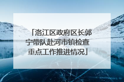 洛江区政府区长郭宁带队赴河市镇检查重点工作推进情况