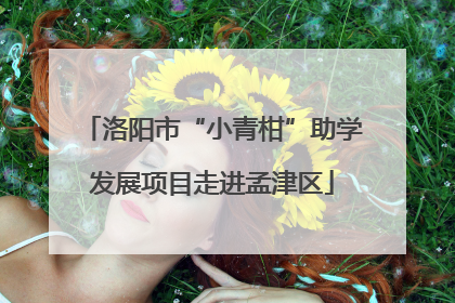 洛阳市“小青柑”助学发展项目走进孟津区
