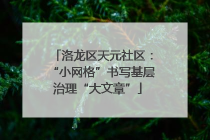 洛龙区天元社区：“小网格”书写基层治理“大文章”