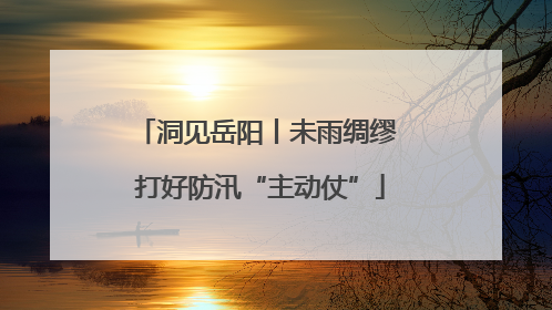 洞见岳阳丨未雨绸缪 打好防汛“主动仗”