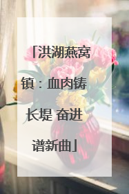 洪湖燕窝镇：血肉铸长堤 奋进谱新曲