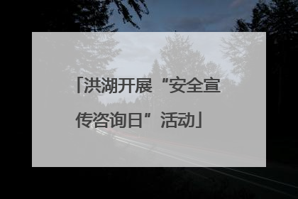 洪湖开展“安全宣传咨询日”活动