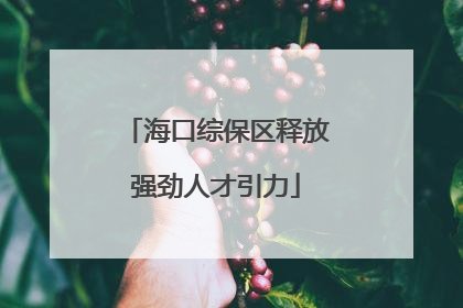 海口综保区释放强劲人才引力
