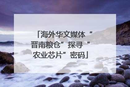 海外华文媒体“晋南粮仓”探寻“农业芯片”密码