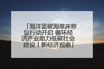 海洋蓝碳海草床修复行动开启 循环经济产业助力低碳社会建设丨新经济观察