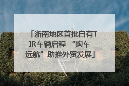 浙南地区首批自有TIR车辆启程 “购车远航”助推外贸发展