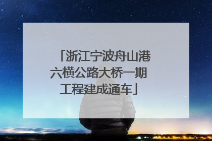 浙江宁波舟山港六横公路大桥一期工程建成通车