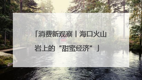 消费新观察丨海口火山岩上的“甜蜜经济”