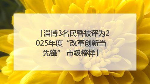 淄博3名民警被评为2025年度“改革创新当先锋” 市级榜样