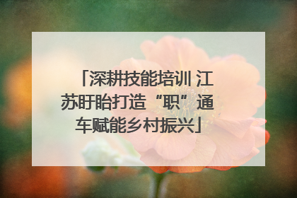 深耕技能培训 江苏盱眙打造“职”通车赋能乡村振兴