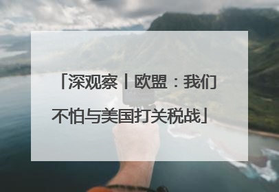 深观察丨欧盟：我们不怕与美国打关税战