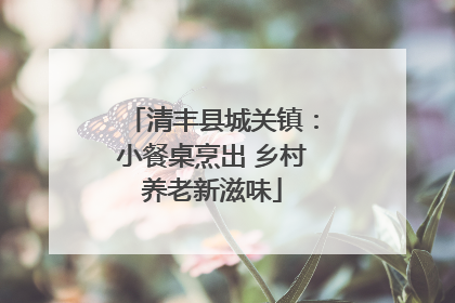 清丰县城关镇：小餐桌烹出 乡村养老新滋味