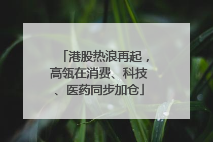 港股热浪再起，高瓴在消费、科技、医药同步加仓