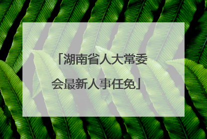 湖南省人大常委会最新人事任免