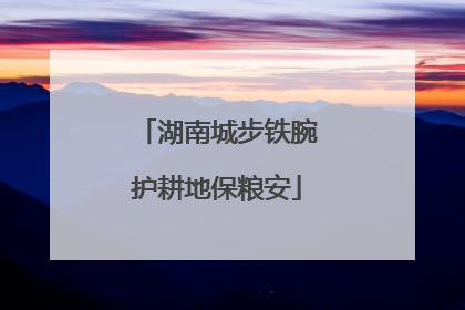 湖南城步铁腕护耕地保粮安