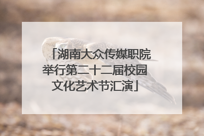 湖南大众传媒职院举行第二十二届校园文化艺术节汇演