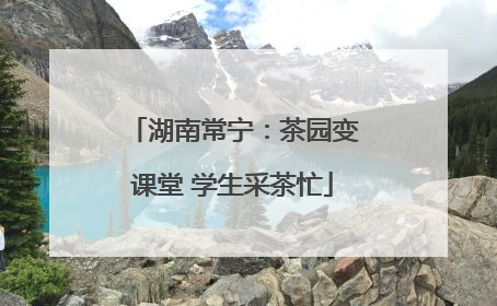 湖南常宁：茶园变课堂 学生采茶忙