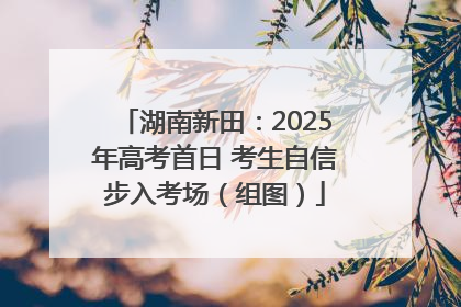 湖南新田：2025年高考首日 考生自信步入考场（组图）