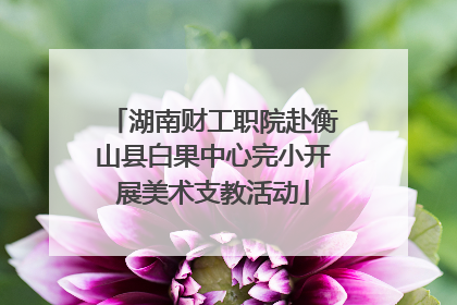 湖南财工职院赴衡山县白果中心完小开展美术支教活动