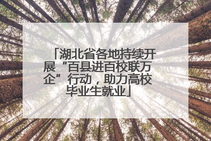 湖北省各地持续开展“百县进百校联万企”行动，助力高校毕业生就业