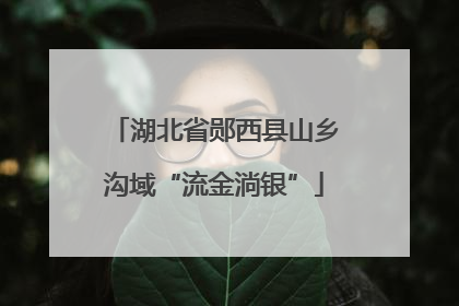 湖北省郧西县山乡沟域“流金淌银”