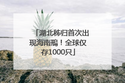湖北秭归首次出现海南鳽！全球仅存1000只