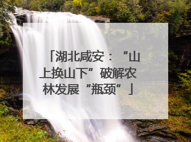 湖北咸安：“山上换山下”破解农林发展“瓶颈”