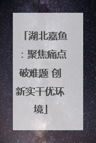 湖北嘉鱼：聚焦痛点破难题 创新实干优环境
