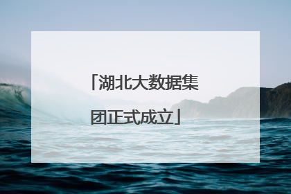 湖北大数据集团正式成立