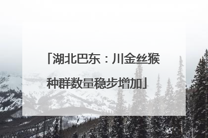 湖北巴东：川金丝猴种群数量稳步增加
