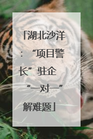 湖北沙洋：“项目警长”驻企 “一对一”解难题