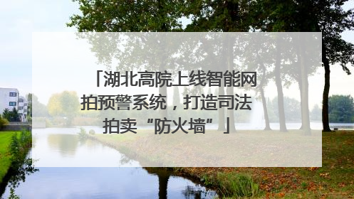 湖北高院上线智能网拍预警系统，打造司法拍卖“防火墙”