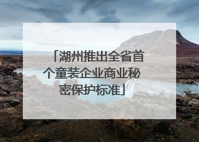 湖州推出全省首个童装企业商业秘密保护标准