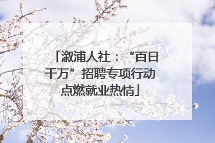 溆浦人社：“百日千万”招聘专项行动点燃就业热情