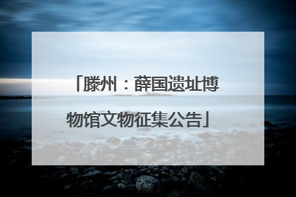 滕州：薛国遗址博物馆文物征集公告