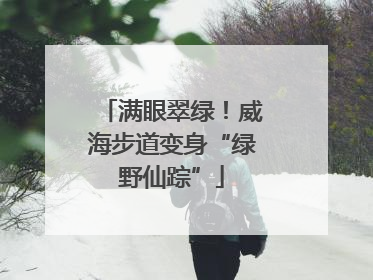 满眼翠绿！威海步道变身“绿野仙踪”
