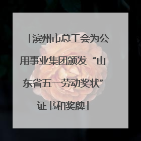 滨州市总工会为公用事业集团颁发“山东省五一劳动奖状”证书和奖牌
