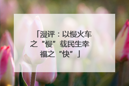 漫评：以慢火车之“慢”载民生幸福之“快”