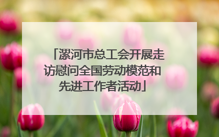 漯河市总工会开展走访慰问全国劳动模范和先进工作者活动