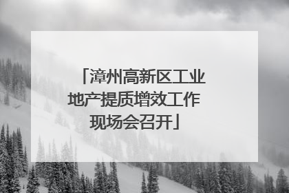 漳州高新区工业地产提质增效工作现场会召开