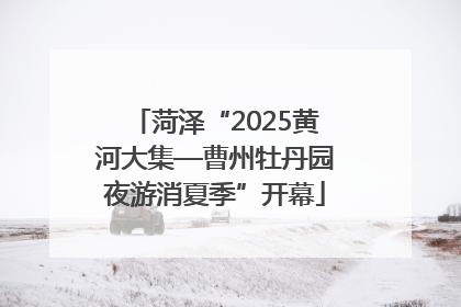 菏泽“2025黄河大集—曹州牡丹园夜游消夏季”开幕