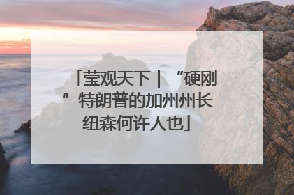 莹观天下｜“硬刚”特朗普的加州州长纽森何许人也