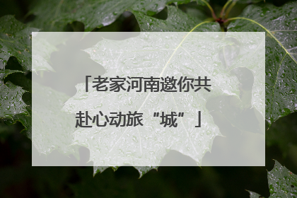 老家河南邀你共赴心动旅“城”