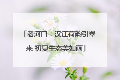 老河口：汉江荷韵引翠来 初夏生态美如画