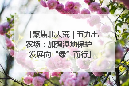 聚焦北大荒｜五九七农场：加强湿地保护 发展向“绿”而行