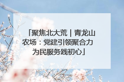 聚焦北大荒｜青龙山农场：党建引领聚合力 为民服务践初心