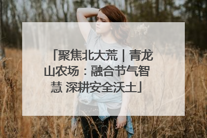 聚焦北大荒｜青龙山农场：融合节气智慧 深耕安全沃土