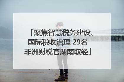 聚焦智慧税务建设、国际税收治理 29名非洲财税官湖南取经