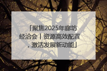 聚焦2025年廊坊经洽会丨资源高效配置，激活发展新动能