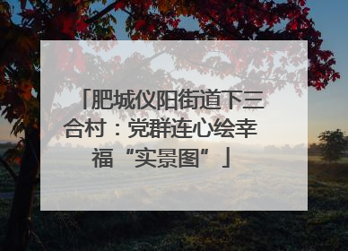 肥城仪阳街道下三合村：党群连心绘幸福“实景图”